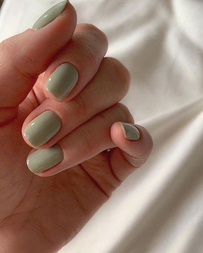 Muted Sage Green 